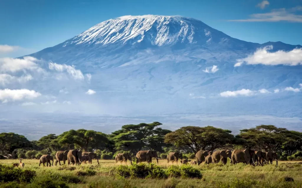 Tanzanija Gora Kilimandzharo