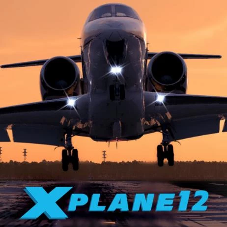 X-Plane 12 - photo №24074