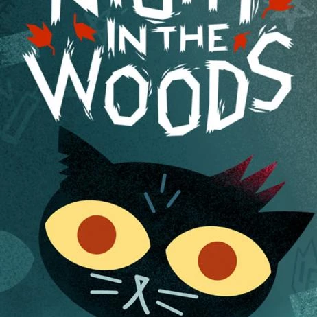 Night in the Woods - photo №8789
