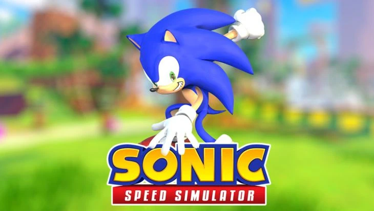 Current exchange codes for Sonic Speed ​​Simulator ([m] [Y]) - photo №64098