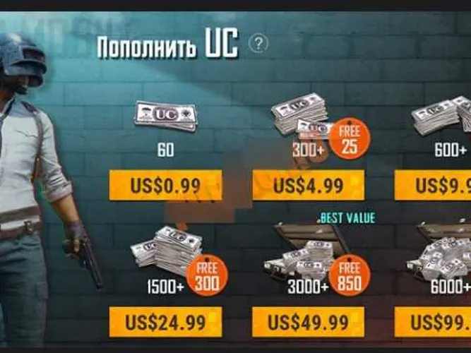 What can you buy with coins in PUBG Mobile? - photo №61819