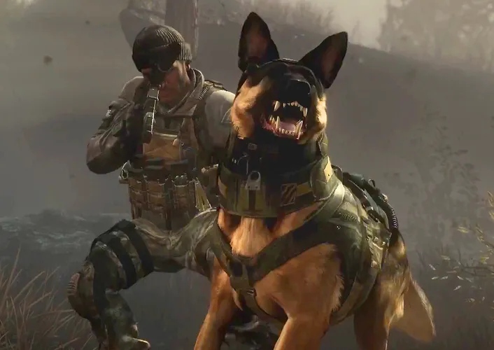 Call of Duty: Vanguard to Address Attack Dogs, Sun Glare, and Respawns - photo №83282