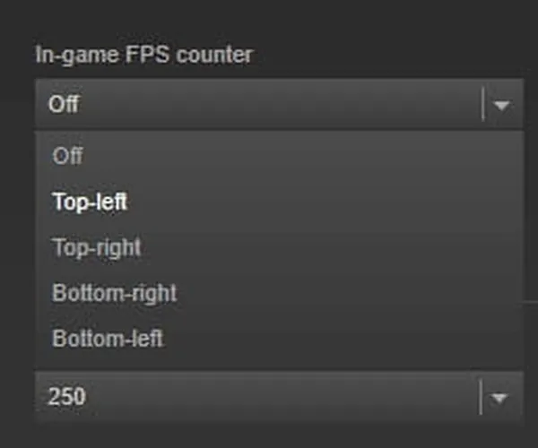 Displaying the FPS counter in Steam. → photo 5