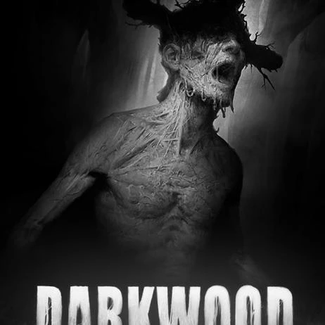 Darkwood - photo №115247